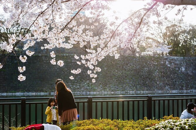 Osaka Castle & Samurai History Walking Tour - Osaka Castle Park and the living side of the site