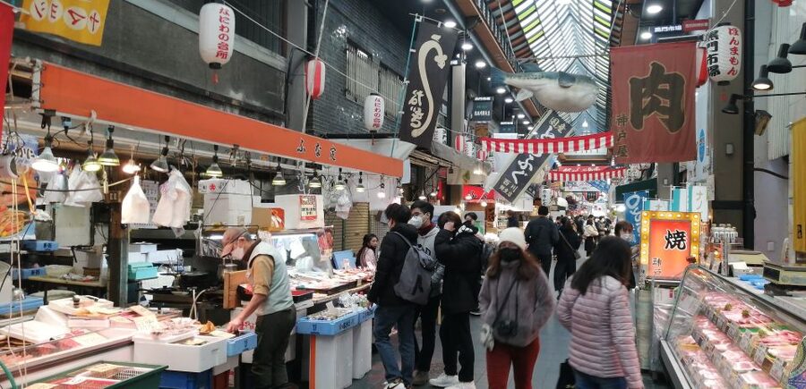 Osaka: Five Must-See Highlights Walking Tour & Ramen Lunch - Dotonbori and Hozenji: finishing under the neon