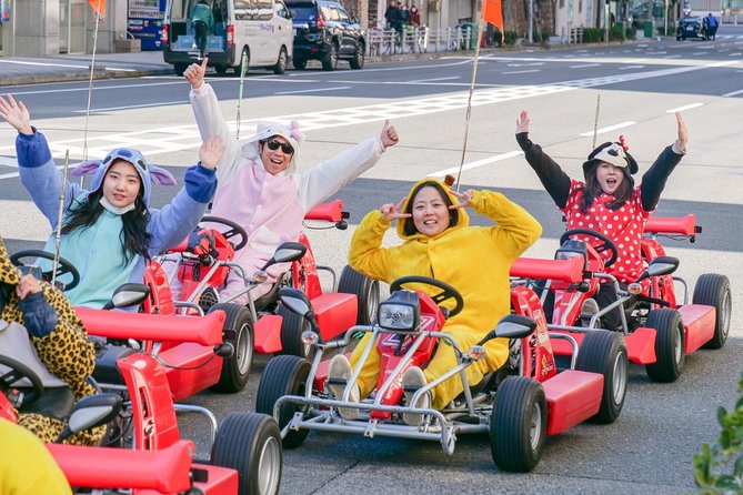 Osaka Go Karting Tour with Funny Costume - Why this is such a different Osaka sightseeing ride