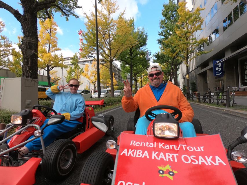 Osaka: Guided Go Karting Tour in a Funny Costume - Timing, weather, and comfort