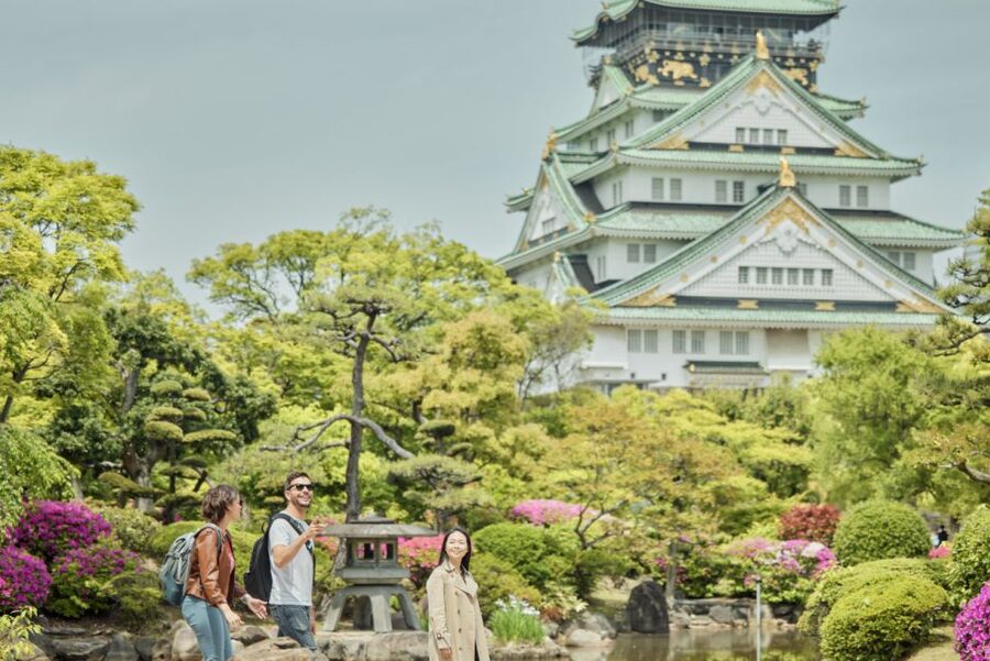 Osaka: Highlights & Hidden Gems Private Walking Tour - Why a private guide helps in Osaka