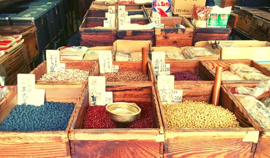 Osaka: Hotspots & Hidden Gems Walking Tour Private or Group - Is $33 a good value?