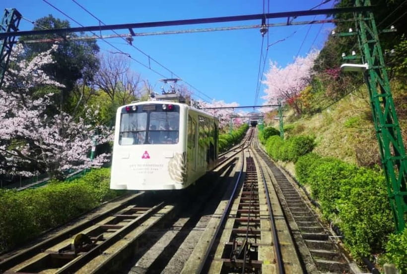 Osaka/Kyoto: Amanohashidate & Miyama Tour with Boat & Lunch - A generous Japanese lunch in Amanohashidate