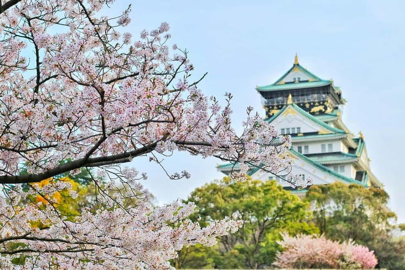 Osaka: Kyoto and Nara Private Day Trip - What the private driver adds