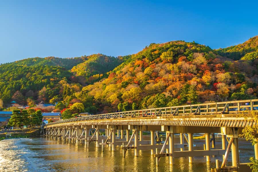 Osaka/Kyoto: Arashiyama, Nara & Fushimi Inari Shrine w/Lunch - Fushimi Inari Shrine: the famous red gates