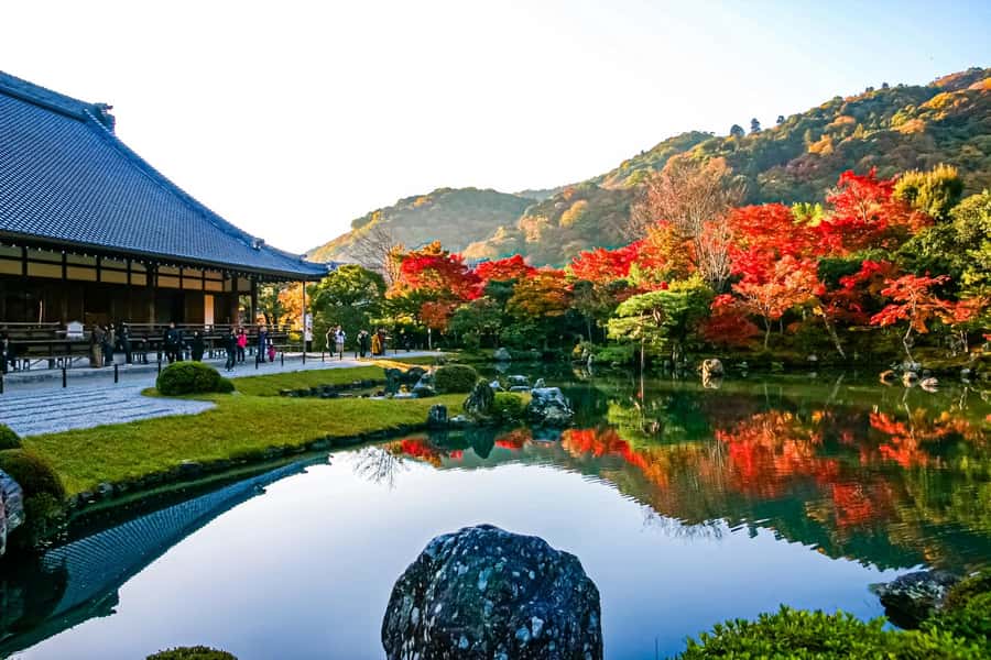 Osaka/Kyoto: Arashiyama, Nara & Fushimi Inari Shrine w/Lunch - Transport, pace, and the cost of convenience