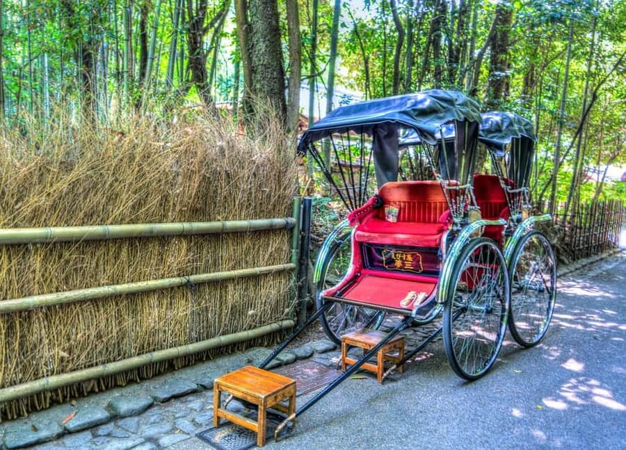 Osaka/Kyoto: Arashiyama, Nara Park, Fushimi Shrine Tour - Nara Park: deer, open space, and a short visit