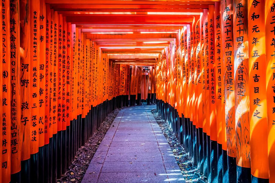 Osaka/Kyoto: Arashiyama, Nara Park, Fushimi Shrine Tour - Starting in Osaka or Kyoto