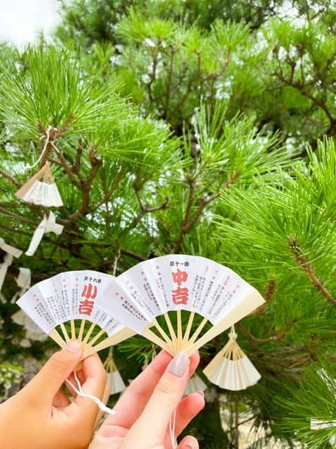 Osaka: Kyoto By The Sea with Amanohashidate & Ine no Funaya - Who should book this coastal day trip?