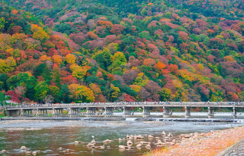 Osaka/Kyoto: Katsuoji, Kinkakuji, Arashiyama 1-Day Bus Tour - FAQ