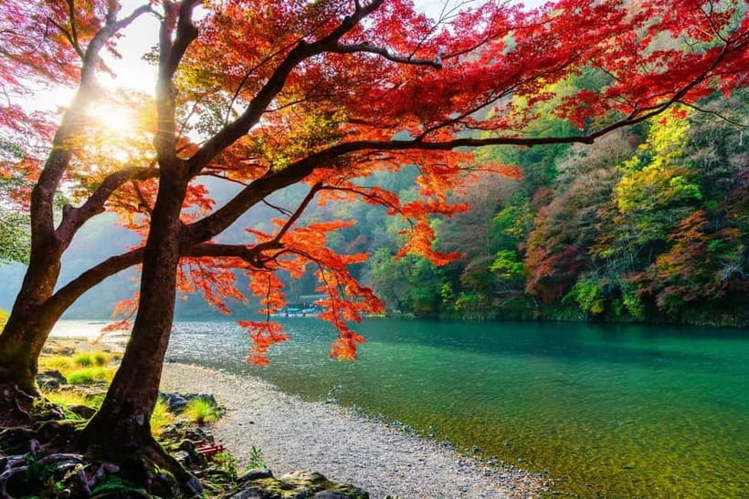 Osaka/Kyoto: Katsuoji, Kinkakuji, Arashiyama 1-Day Bus Tour - Who should book this day tour?
