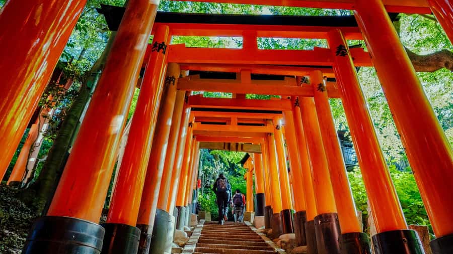 Osaka/Kyoto:Kinkakuji,Arashiyama,FushimiInariShrine,NaraPark - What this $66 day is really buying you