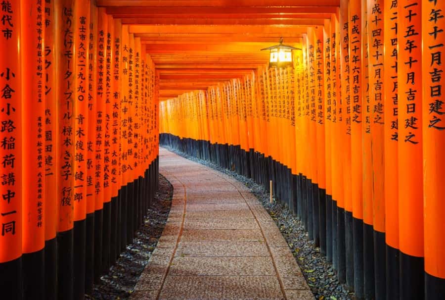 Osaka/Kyoto:Kinkakuji,Arashiyama,FushimiInariShrine,NaraPark - Nara Park and Todai-ji: deer first, Buddha next