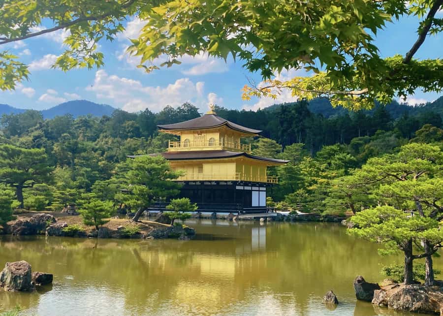 Osaka/Kyoto:Kinkakuji,Arashiyama,FushimiInariShrine,NaraPark - Fushimi Inari: the day’s most atmospheric walk