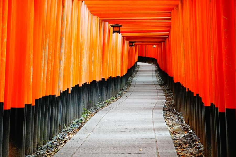 Osaka/Kyoto:Kinkakuji,Arashiyama,FushimiInariShrine,NaraPark - Starting in Osaka or Kyoto