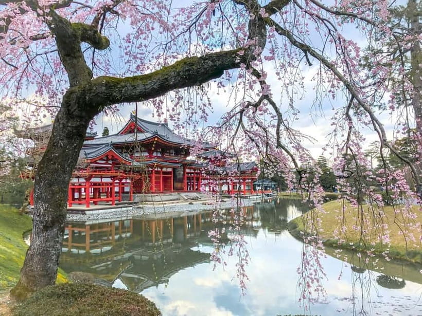 Osaka: Kyoto & Nara & Uji Historical and Scenic One-Day Tour - Key points at a glance
