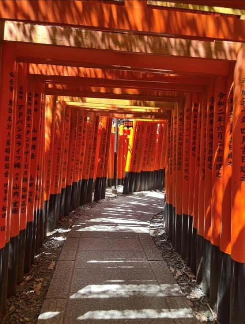 Osaka: Kyoto & Nara & Uji Historical and Scenic One-Day Tour - Walking, comfort, and who should skip it