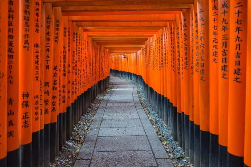 Osaka: Kyoto & Nara & Uji Historical and Scenic One-Day Tour - Nara Park and Todaiji: deer first, Buddha second