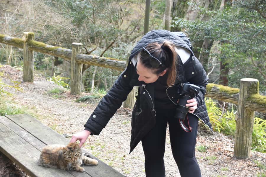 Osaka: Mino Forest Walk and Giant Waterfall with Local Lunch - What the guides add to the day