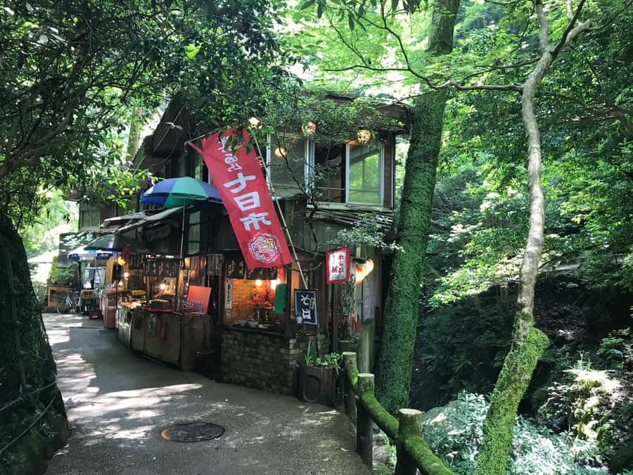 Osaka: Mino Forest Walk and Giant Waterfall with Local Lunch - Is $79 a fair price?