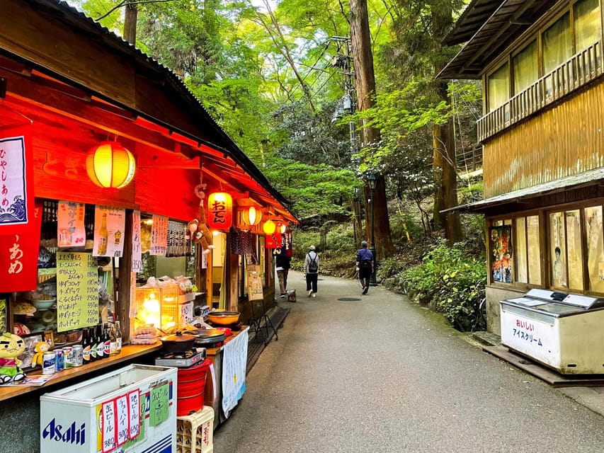 Osaka: Minoh, Katsuoji Temple, & Minoh Falls Full-day Tour - What the $135 Price Buys You