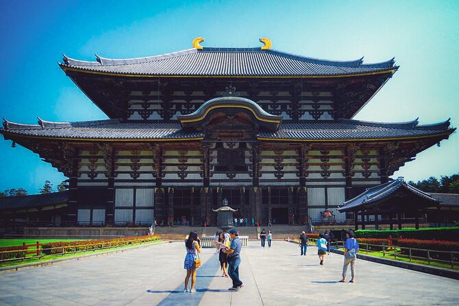 Osaka & Nara in 1-Day by Private Van with Local Expert Guide - What this private Osaka and Nara tour is really good at