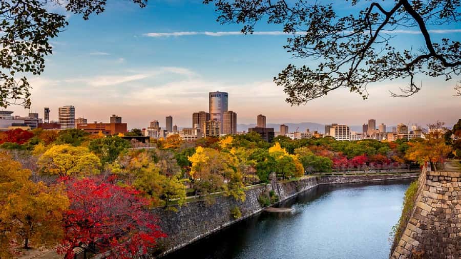 Osaka: Osaka Castle 3 hours Historical Walking Tour - Key points to know before you book