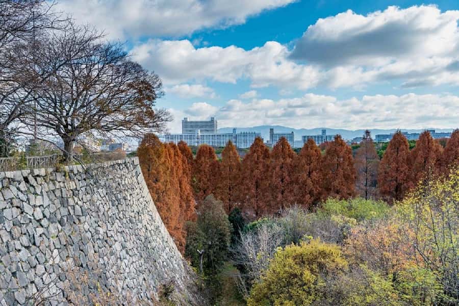 Osaka: Osaka Castle 3 hours Historical Walking Tour - Taking in Osaka from the observation deck