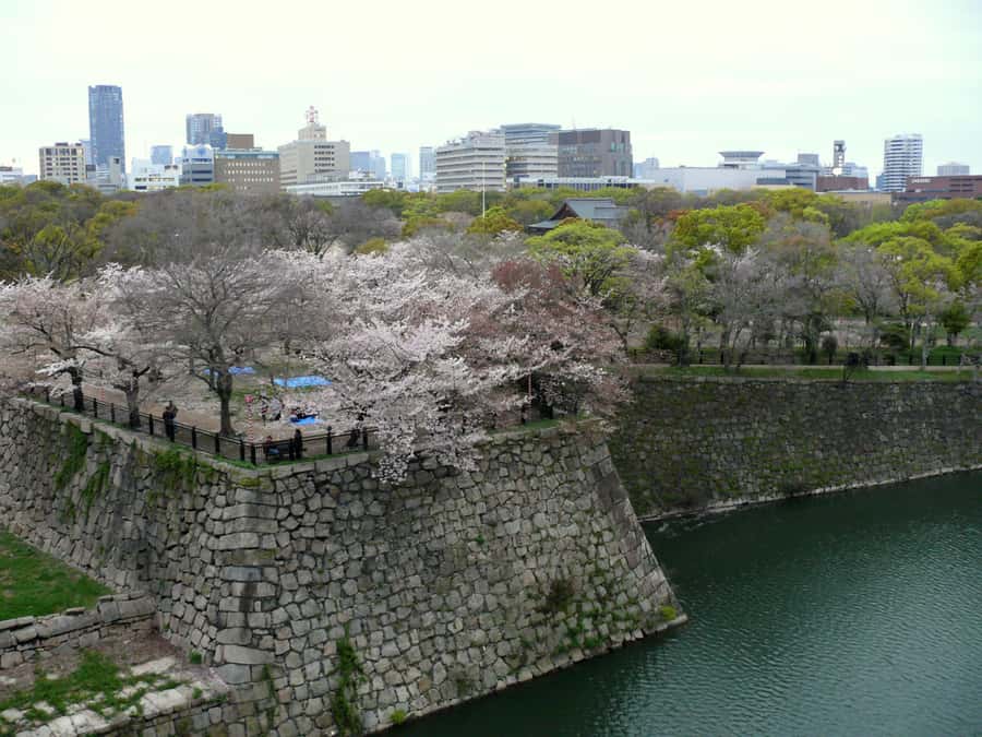 Osaka: Osaka Castle 3 hours Historical Walking Tour - Finishing at Hokoku Shrine