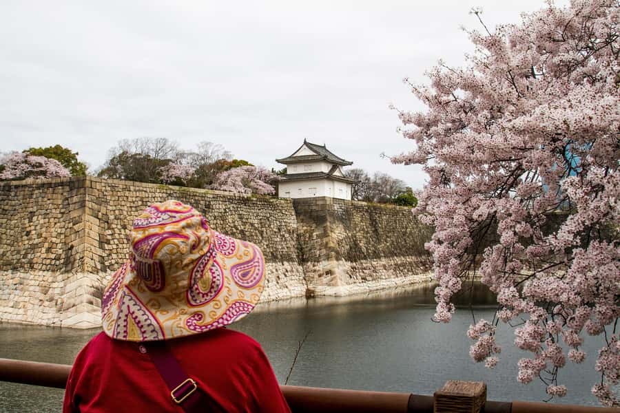 Osaka: Osaka Castle 3 hours Historical Walking Tour - Is $30 good value for three hours?