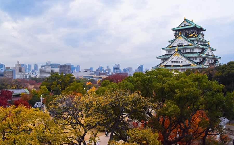 Osaka: Osaka Castle 3 hours Historical Walking Tour - Following Toyotomi Hideyoshi into the castle museum