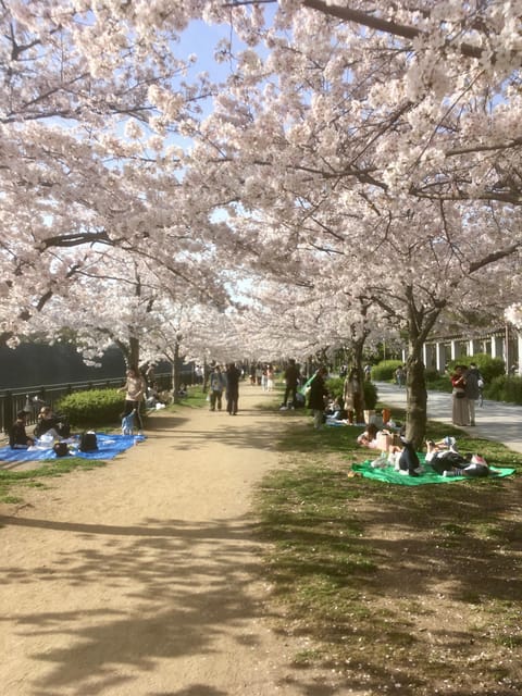 Osaka: Private and Fully Customized Tour with Hotel Meet Up - Meeting at your hotel makes the morning easier
