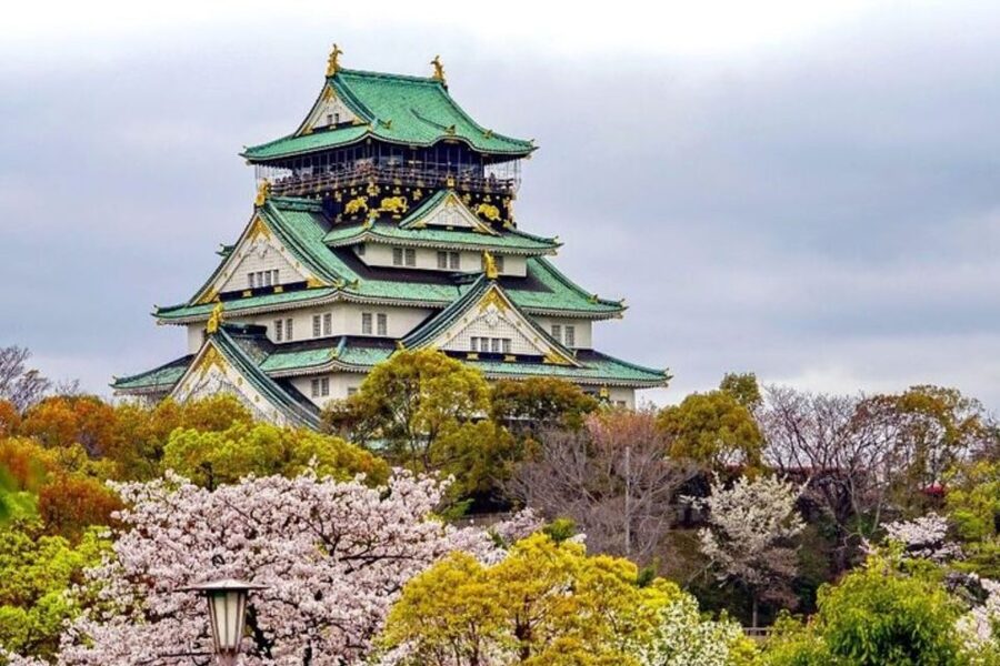 Osaka: Private Custom Walking Tour with a Local Guide - How to plan your time without rushing