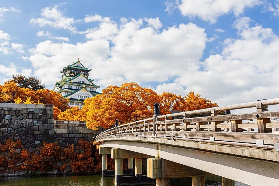 Osaka Private Tour with Government-Licensed Guide - What the guide adds to the day