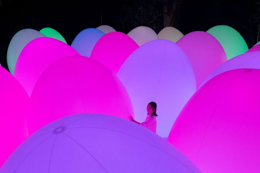 Osaka: teamLab Botanical Garden Entry Ticket - Nagai Botanical Garden before the lights come on