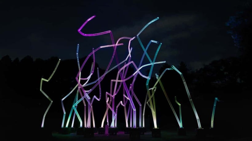 Osaka: teamLab Botanical Garden Entry Ticket - A walk with real distance between the displays
