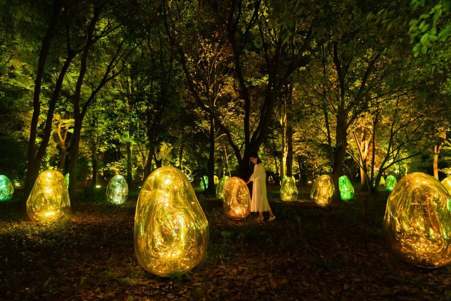 Osaka: teamLab Botanical Garden Entry Ticket - Why timing affects the quality of the show