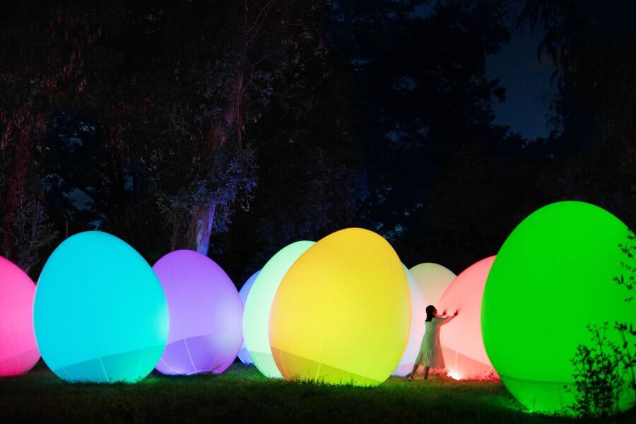 Osaka: teamLab Botanical Garden Entry Ticket - Families, older visitors, and accessibility