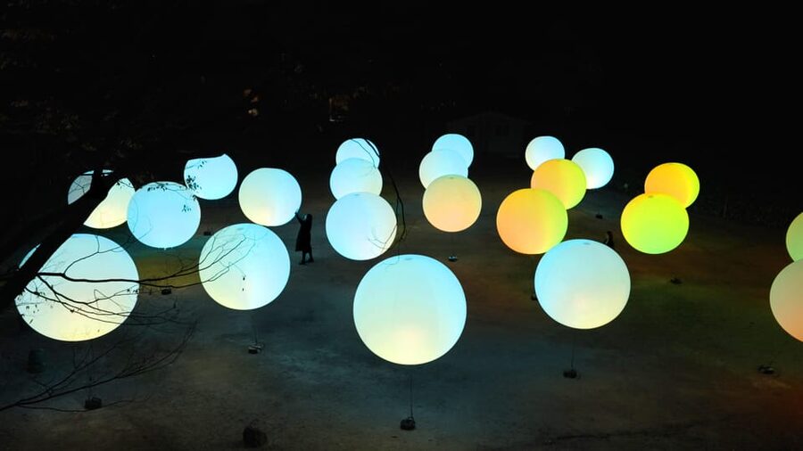 Osaka: teamLab Botanical Garden Entry Ticket - Who will enjoy this most?
