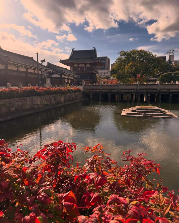 Osaka: Visit the must-see places. - Walking, subway fares, and what to bring