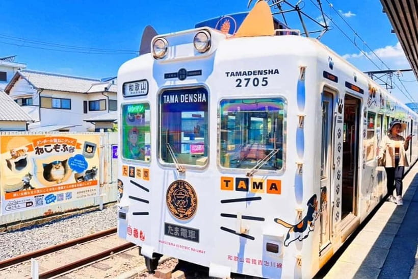 Osaka: Wakayama Cat Train, Seafood market, Hot Springs Tour - Key points at a glance