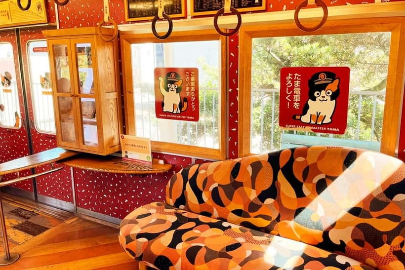 Osaka: Wakayama Cat Train, Seafood market, Hot Springs Tour - Kishi Station and the Tama railway story
