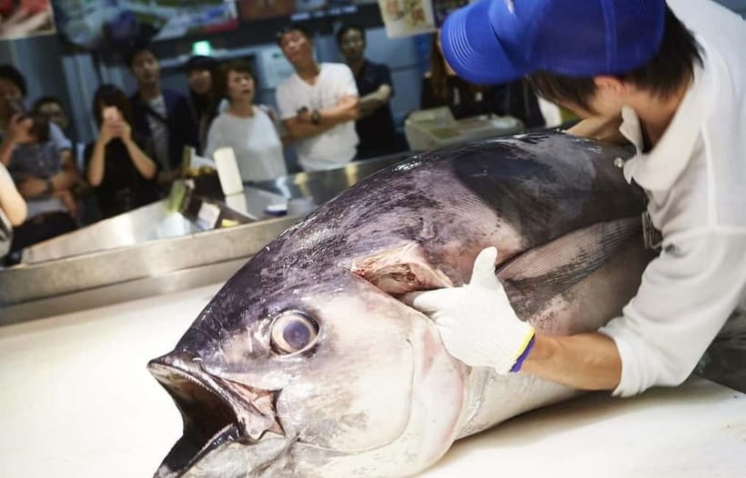 Osaka: Wakayama Cat Train, Seafood market, Hot Springs Tour - Sandanbeki and the cave below