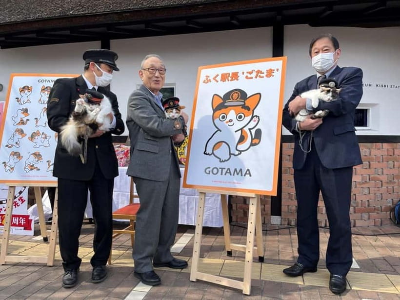 Osaka: Wakayama Cat Train, Seafood market, Hot Springs Tour - Starting early at Nipponbashi