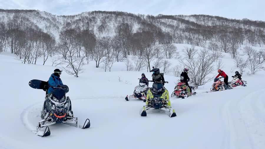 Penguin Fun & Snowmobile : Sapporo Winter (Asahiyama Zoo) - Who should book this Hokkaido day trip?