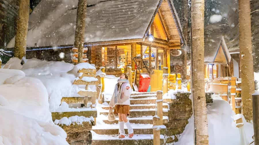 Penguin Fun & Snowmobile : Sapporo Winter (Asahiyama Zoo) - Ningle Terrace, a snowy craft village with a backup plan
