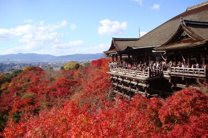 PERFECT KYOTO 1-Day Bus Tour - Why this Kyoto day works for first-time visitors