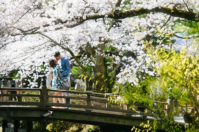Photoshoot session by professional photographer in Kanazawa - Choosing between Higashi Chaya and Kenrokuen