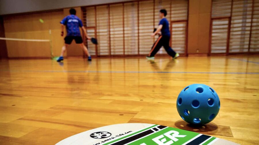 Pickleball in Osaka, Kobe & Kyoto with Locals! - Is the $6 price good value?