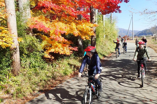Private Afternoon Cycling Tour in Hida-Furukawa - Through rice fields and Satoyama countryside